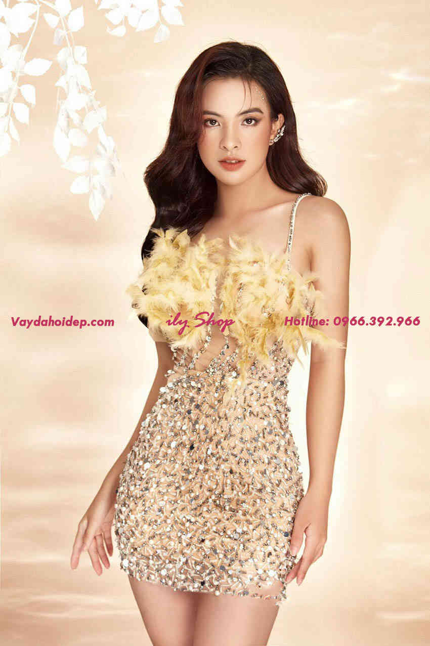 VTK165a-Vay-thiet-ke-cao-cap-gia-re-Vaydahoidep-com (3)