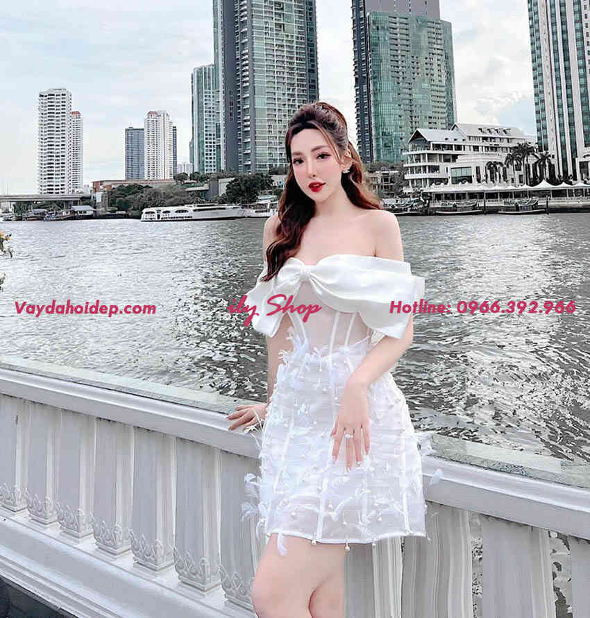 VMD15-May-do-vay-thiet-ke-theo-yeu-cau-gia-re-Vaydahoidep-com (5)